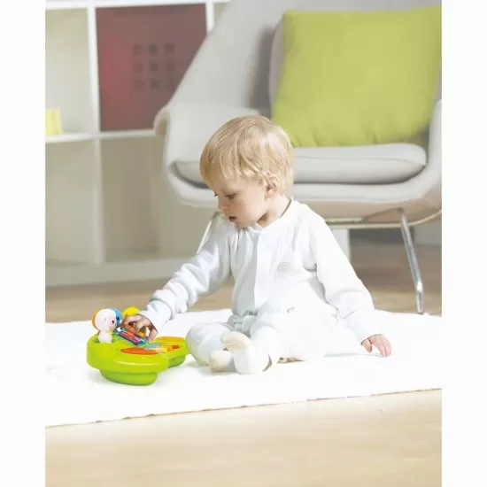 Orga muzicala a animalutelor Hola Toys Orga muzicala a animalutelor Hola Toys