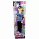 Papusa Barbie Family - Bona baiat Papusa Barbie Family - Bona baiat