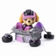 Minivehiculul lui Skye Patrula Catelusilor 