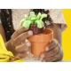 Set creativ Play-Doh - Gradina inflorita Set creativ Play-Doh - Gradina inflorita
