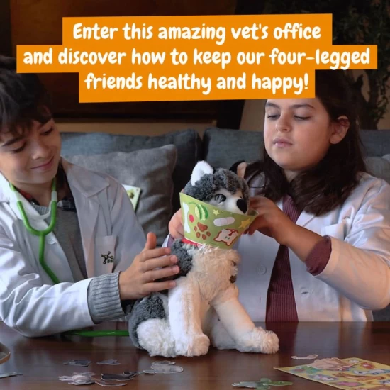 Set de joaca educativ, Primul meu kit de veterinar, +4 ani