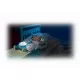 Proiector Hipopotam Fisher Price