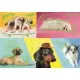 Puzzle Trefl 1000 piese - Catelusi in culori neon