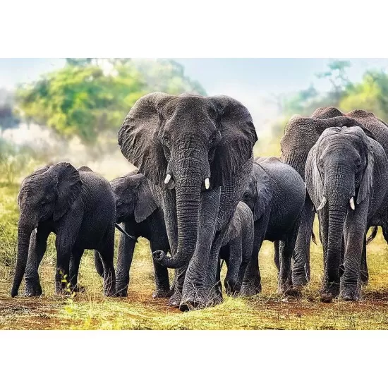 Puzzle Trefl 1000 piese - Elefanti africani Puzzle Trefl 1000 piese - Elefanti africani