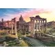 Puzzle Trefl 1000 piese - Forum roman