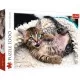 Puzzle Trefl 1000 piese - Pisicuta vesela Puzzle Trefl 1000 piese - Pisicuta vesela