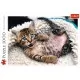 Puzzle Trefl 1000 piese - Pisicuta vesela Puzzle Trefl 1000 piese - Pisicuta vesela