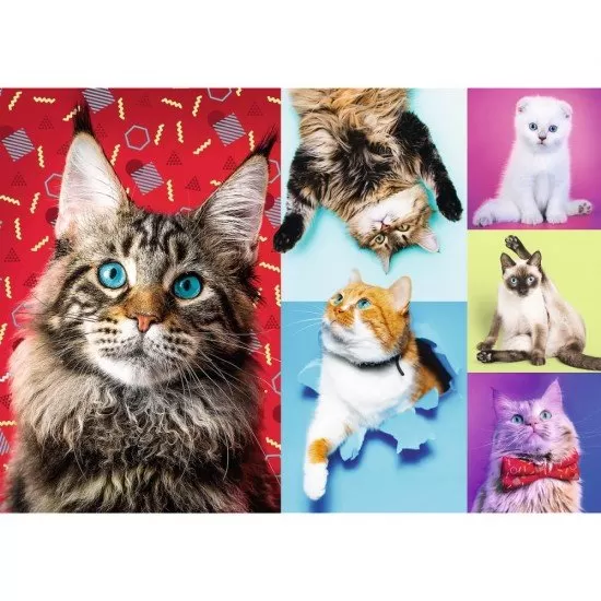 Puzzle Trefl pisicute fericite 1000 piese Puzzle Trefl pisicute fericite 1000 piese