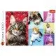 Puzzle Trefl pisicute fericite 1000 piese Puzzle Trefl pisicute fericite 1000 piese