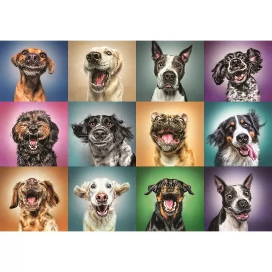 Puzzle Trefl portret catelusi simpatici 1000 piese Puzzle Trefl portret catelusi simpatici 1000 piese