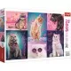 Puzzle Trefl 1000 piese - Super pisici neon Puzzle Trefl 1000 piese - Super pisici neon