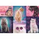 Puzzle Trefl 1000 piese - Super pisici neon Puzzle Trefl 1000 piese - Super pisici neon