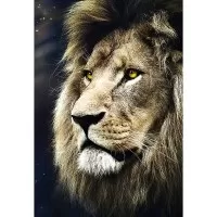 Puzzle Trefl 1500 piese - Portret leu