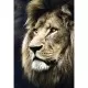 Puzzle Trefl 1500 piese - Portret leu