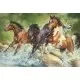 Puzzle Trefl 1500 piese - Trei cai salbatici Puzzle Trefl 1500 piese - Trei cai salbatici