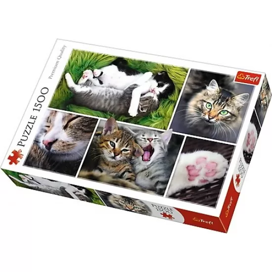 Puzzle Trefl 1500 piese - Viata pisicilor Puzzle Trefl 1500 piese - Viata pisicilor
