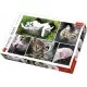 Puzzle Trefl 1500 piese - Viata pisicilor Puzzle Trefl 1500 piese - Viata pisicilor