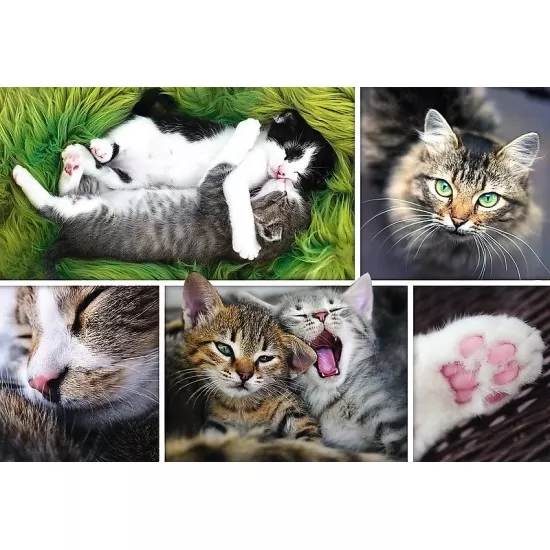 Puzzle Trefl 1500 piese - Viata pisicilor Puzzle Trefl 1500 piese - Viata pisicilor
