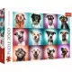Puzzle Trefl 2000 piese - Catelusii amuzanti Puzzle Trefl 2000 piese - Catelusii amuzanti