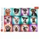 Puzzle Trefl 2000 piese - Catelusii amuzanti Puzzle Trefl 2000 piese - Catelusii amuzanti