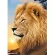 Puzzle Trefl - Leul 500 piese