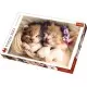 Puzzle Trefl Pisicute Somnoroase 500 piese Puzzle Trefl Pisicute Somnoroase 500 piese