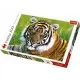 Puzzle Trefl Tigru 500 piese Puzzle Trefl Tigru 500 piese