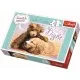 Puzzle Trefl Noapte buna 60 piese Puzzle Trefl Noapte buna 60 piese