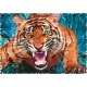Puzzle Trefl cu piese ciudate - Fata in fata cu tigrul 600 piese