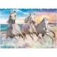 Puzzle Trefl cu forme ciudate - La galop prin valuri 600 piese Puzzle Trefl cu forme ciudate - La galop prin valuri 600 piese