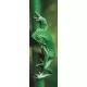 Puzzle Trefl Panorama Broscuta Puzzle Trefl Panorama Broscuta