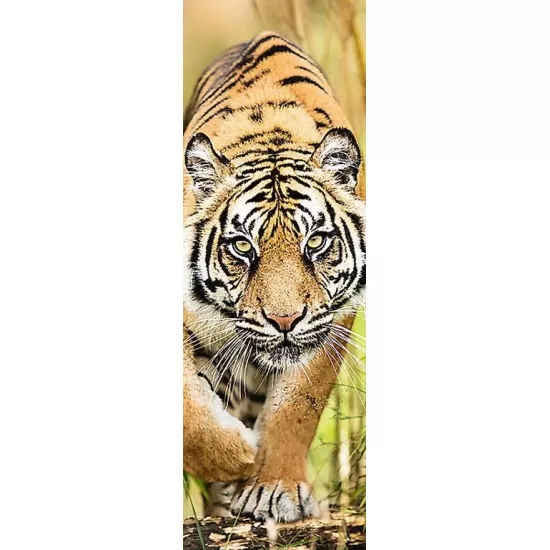Puzzle Trefl Panorama Tigru 300 piese Puzzle Trefl Panorama Tigru 300 piese