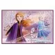 Set 4 puzzle-uri Frozen 2 din lemn Set 4 puzzle-uri Frozen 2 din lemn