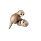Papusa Steffi Love Otter Babies 29 cm cu 2 figurine vidre