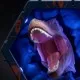 Figurina Wow! Pods - Dino Tyrannosaurus Rex cu efecte sonore Figurina Wow! Pods - Dino Tyrannosaurus Rex cu efecte sonore
