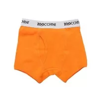 Set 3 boxeri din bumbac organic pentru baieti Zoocchini Space Force 4-5 ani