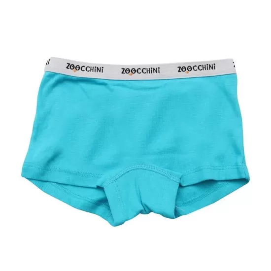 Set 3 boxeri din bumbac organic pentru fete Zoocchini Flower Power 5-6 ani Set 3 boxeri din bumbac organic pentru fete Zoocchini Flower Power 5-6 ani