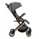 Carucior sport Estelle Momi Gold Grey Carucior sport Estelle Momi Gold Grey