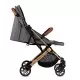 Carucior sport Estelle Momi Gold Grey Carucior sport Estelle Momi Gold Grey
