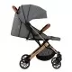 Carucior sport Estelle Momi Gold Grey Carucior sport Estelle Momi Gold Grey