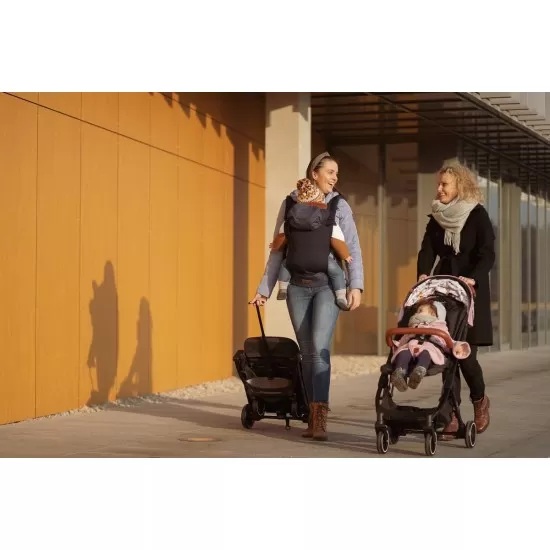 Carucior sport Estelle Momi Grey
