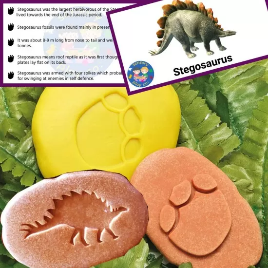 Set educativ Sa investigam! - Urme dinozauri Set educativ Sa investigam! - Urme dinozauri
