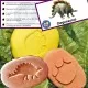 Set educativ Sa investigam! - Urme dinozauri Set educativ Sa investigam! - Urme dinozauri