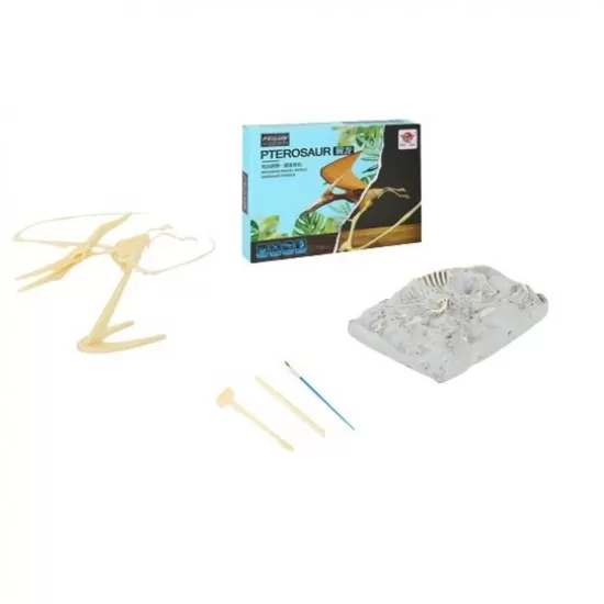 Set educativ paleontologie descopera fosile dinozaur Pterosaur