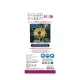 Set 12 creioane colorate Metalice Color Sheen Set 12 creioane colorate Metalice Color Sheen