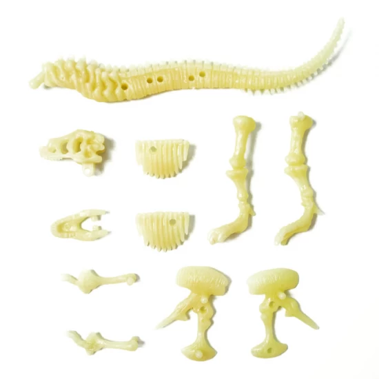 Set constructie Fosila T-Rex fosforescenta 11 piese Set constructie Fosila T-Rex fosforescenta 11 piese