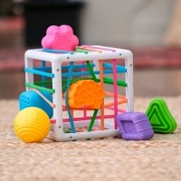 Cub moale pentru sortarea formelor InnyBin Fat Brain Toys