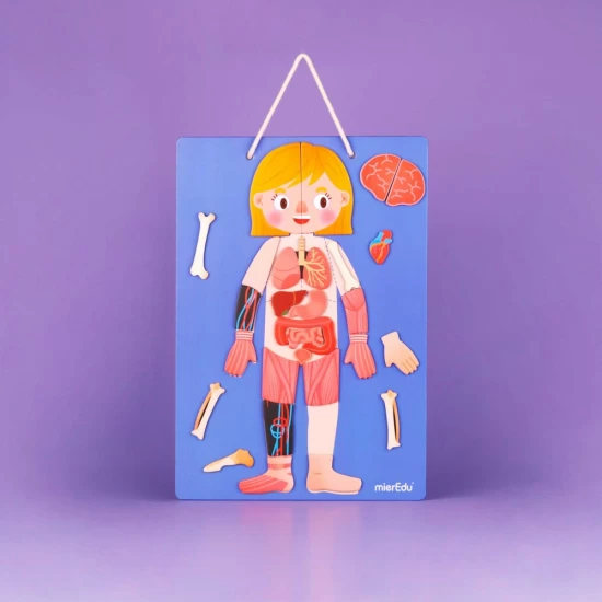 Joc educativ magnetic - Totul despre Corp si Emotii Joc educativ magnetic - Totul despre Corp si Emotii