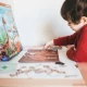 Joc educativ magnetic - Totul despre Dinozauri Joc educativ magnetic - Totul despre Dinozauri