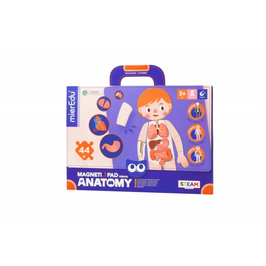 Joc magnetic educativ - Anatomia Umana Joc magnetic educativ - Anatomia Umana